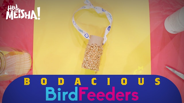 Hey Meisha | Sunday School | Bodacious Bird Feeders 