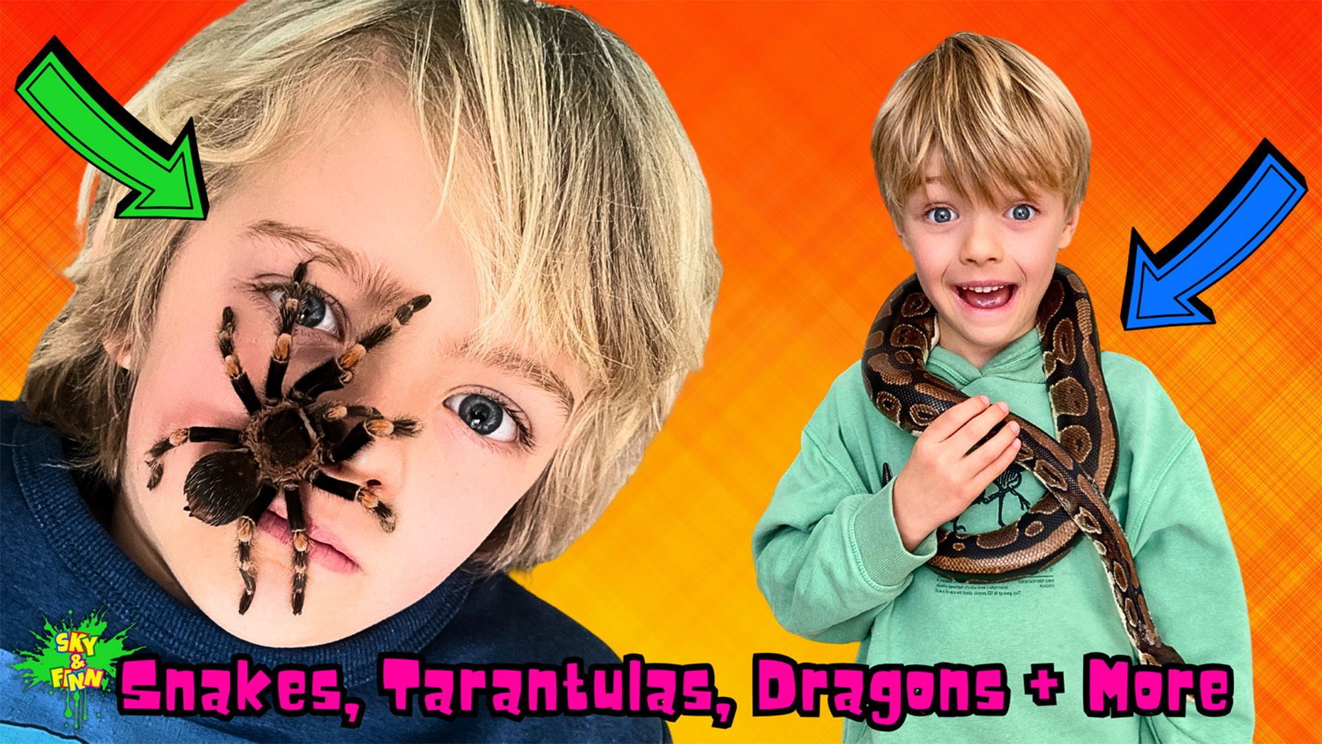 Snakes, Tarantulas, Dragons + More