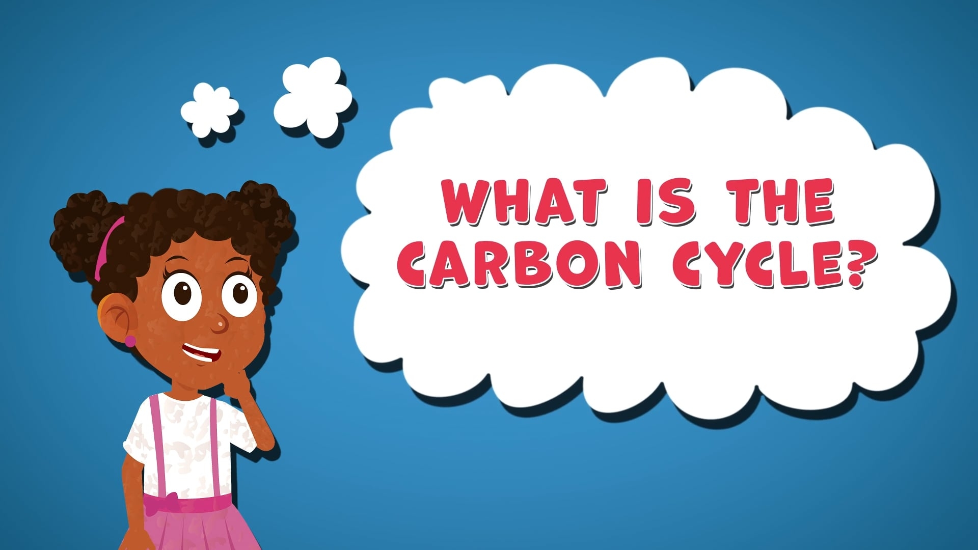 I WONDER - What Is The Carbon Cycle?