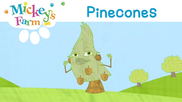 Pinecones