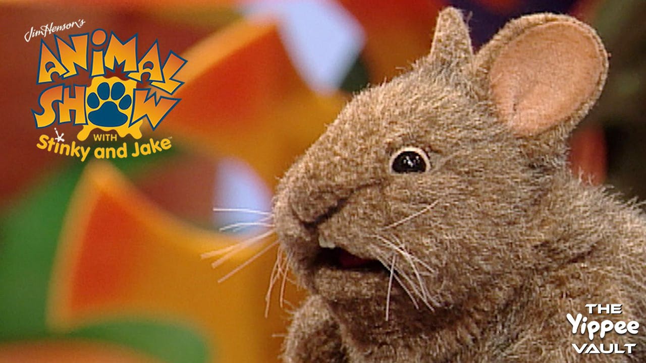 Wild Horse & Volcano Rabbit - Animal Show with Stinky and Jake - Yippee ...