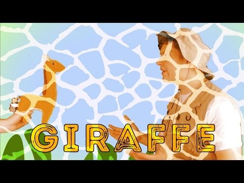 Giraffes - Animal Facts 