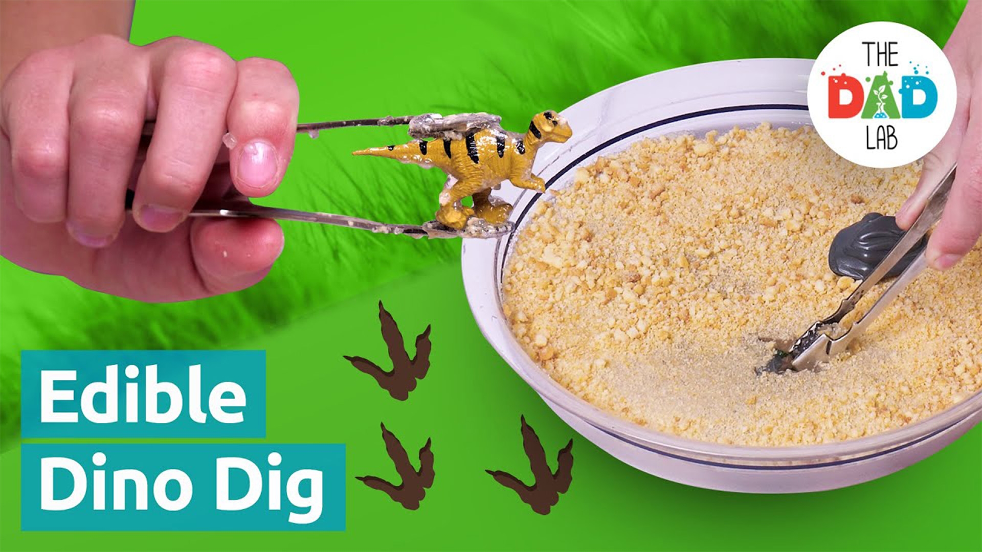 Edible Dinosaur Dig Excavation Activity for Toddler