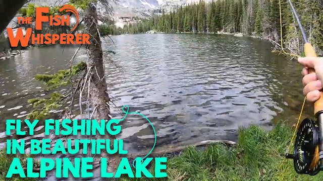 Fly Fishing in Beautiful Alpine Lake!