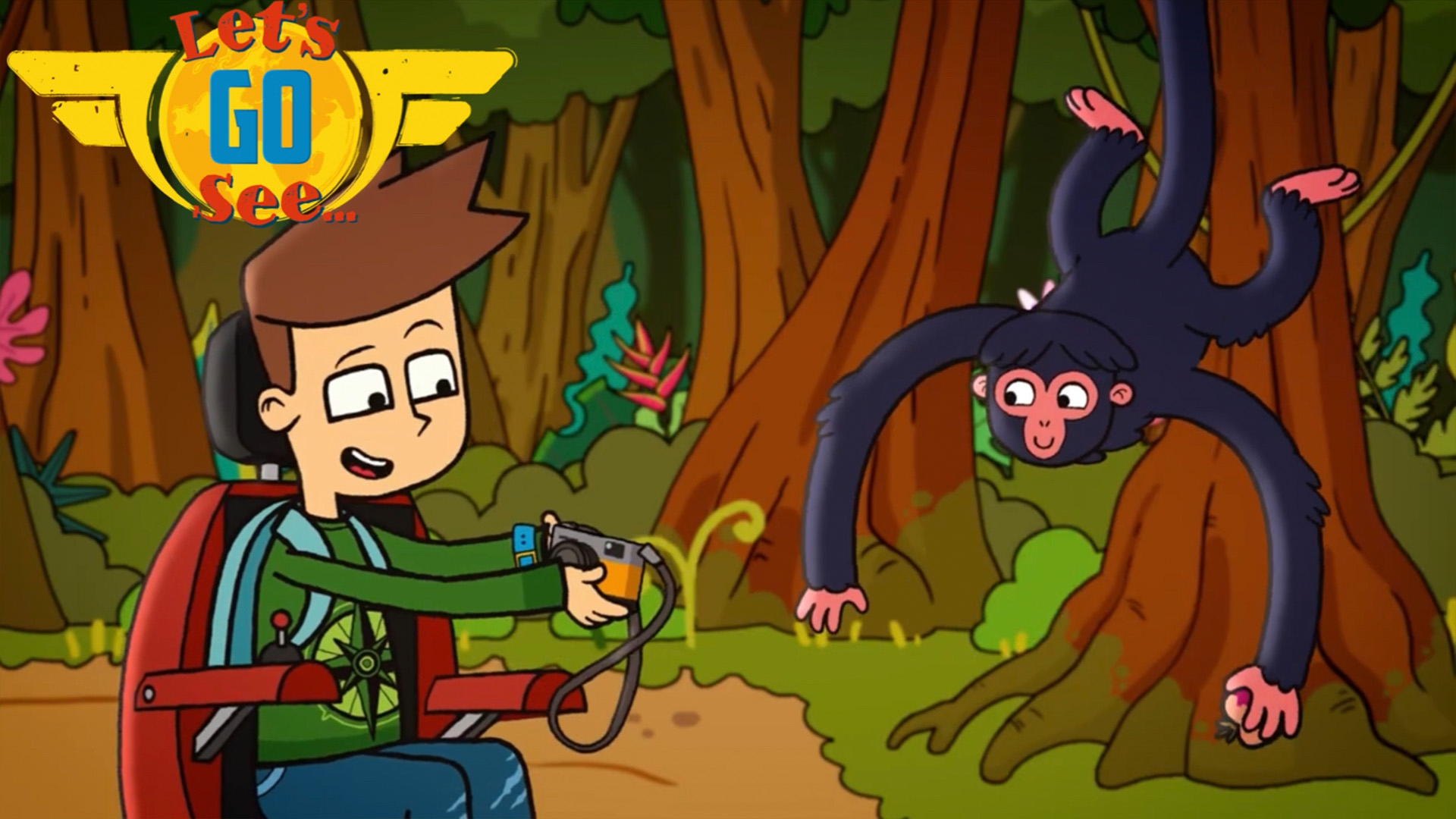 Let's Go See The Amazon Rainforest - The Missing Camera?