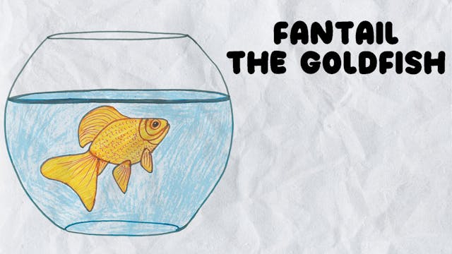 Learn to Draw Fantail The Goldfish