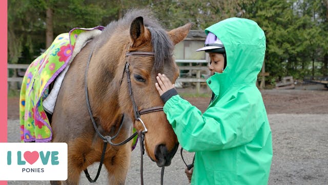 Ponies