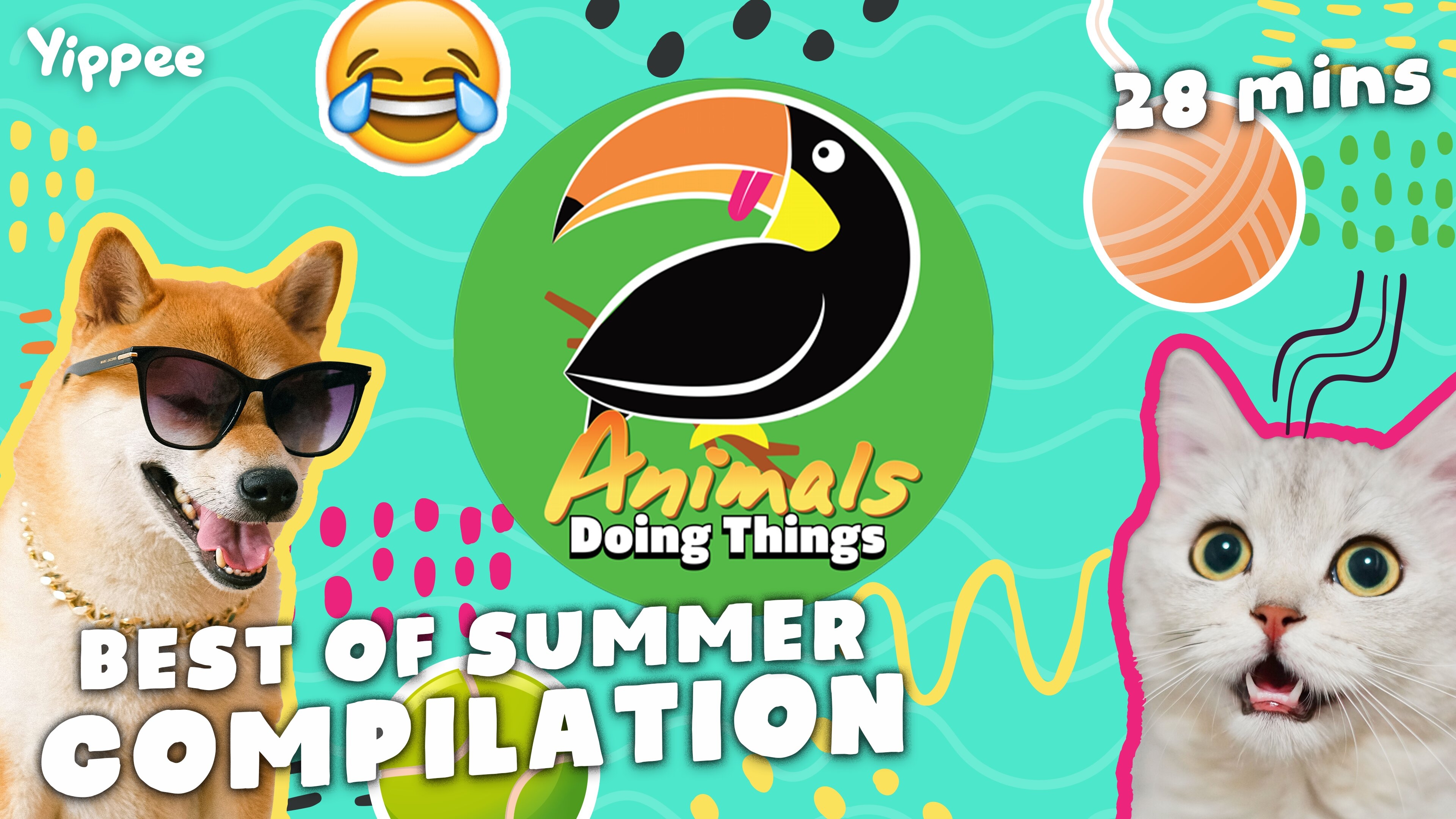 Animals Doing Things | Best of Summer - Compilation