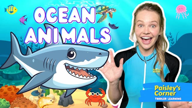 Learn Ocean Animals