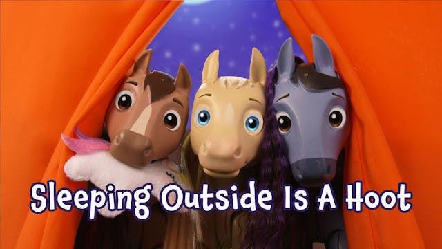 Sleeping Outside Is A Hoot