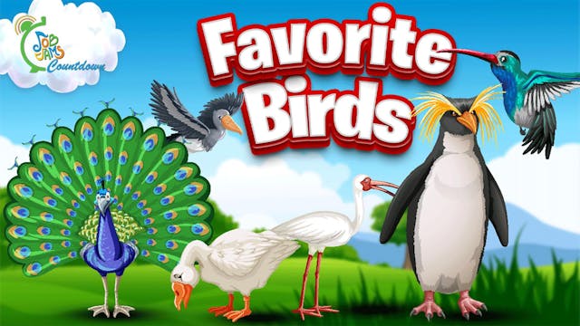 Top 10 Birds