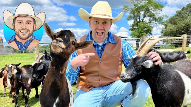 Visit a Goat Farm