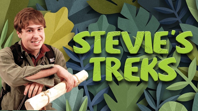 Stevie's Treks
