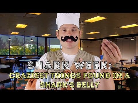 Shark Week- Craziest Things Found in ...
