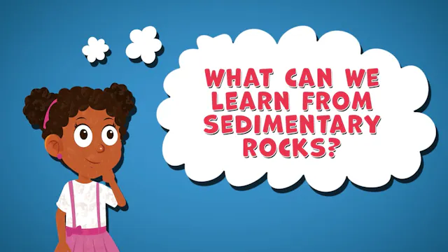 I WONDER - What Can We Learn From Sed...