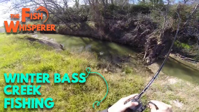 Winter Bass Creek Fishing!