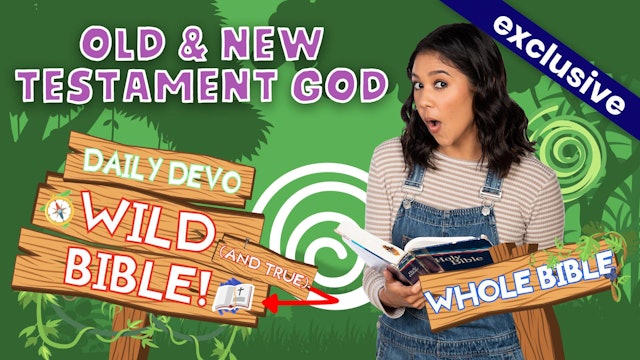 #662 - Old & New Testament God