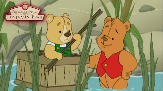 Happy Campers / Teddy Picnic