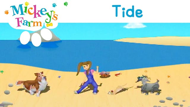 Tide