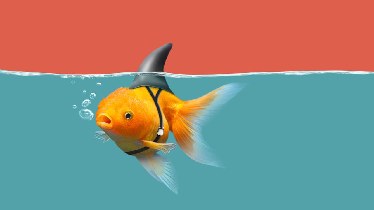 Confidence & Self-Esteem Training Course