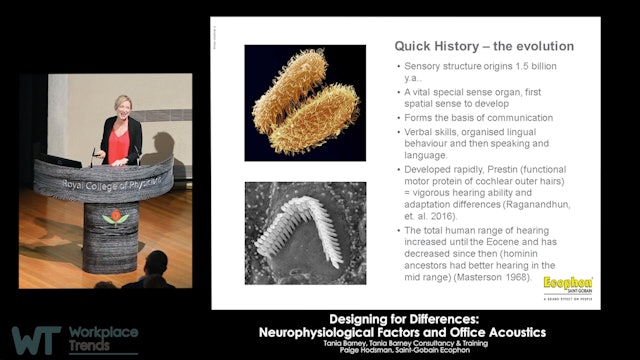5.9.0 Designing for Differences: Neurophysiological Factors and Office Acoustics