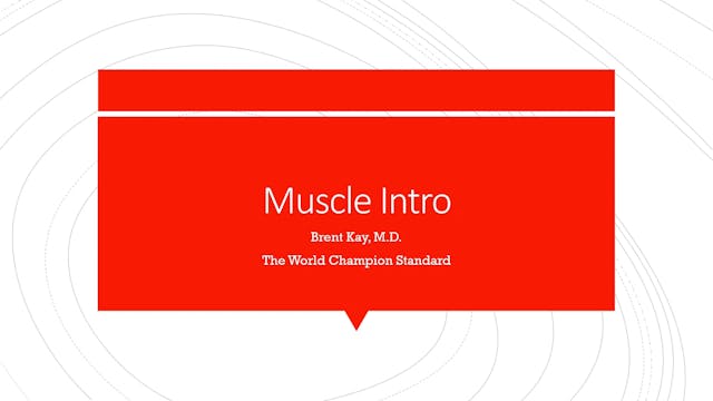 Muscle Intro