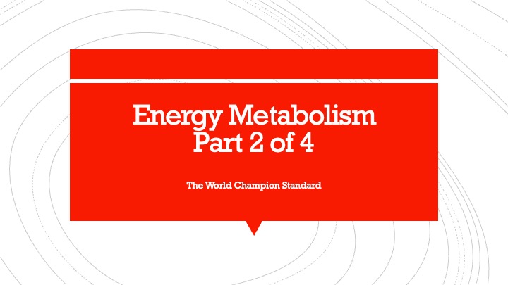 Energy Metabolism part 2 of 4