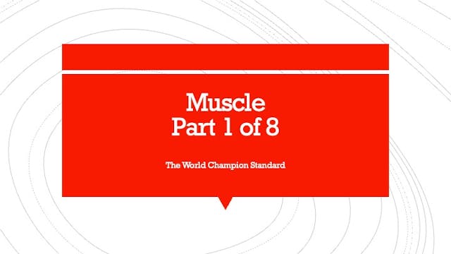 Muscle part 1 of 8