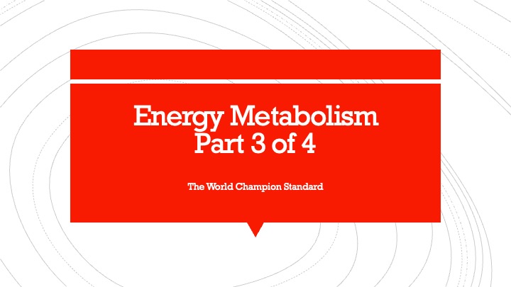 Energy Metabolism part 3 of 4