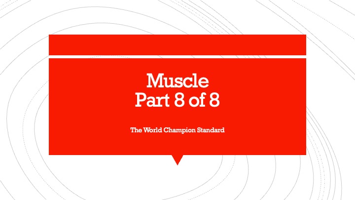 Muscle part 8 of 8