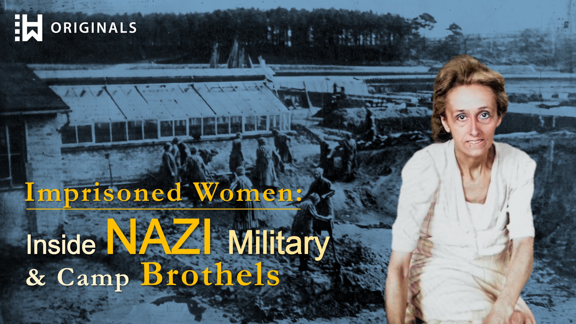 Inside Nazi Military and Camp Brothels: Sex Slaves of the Third Reich