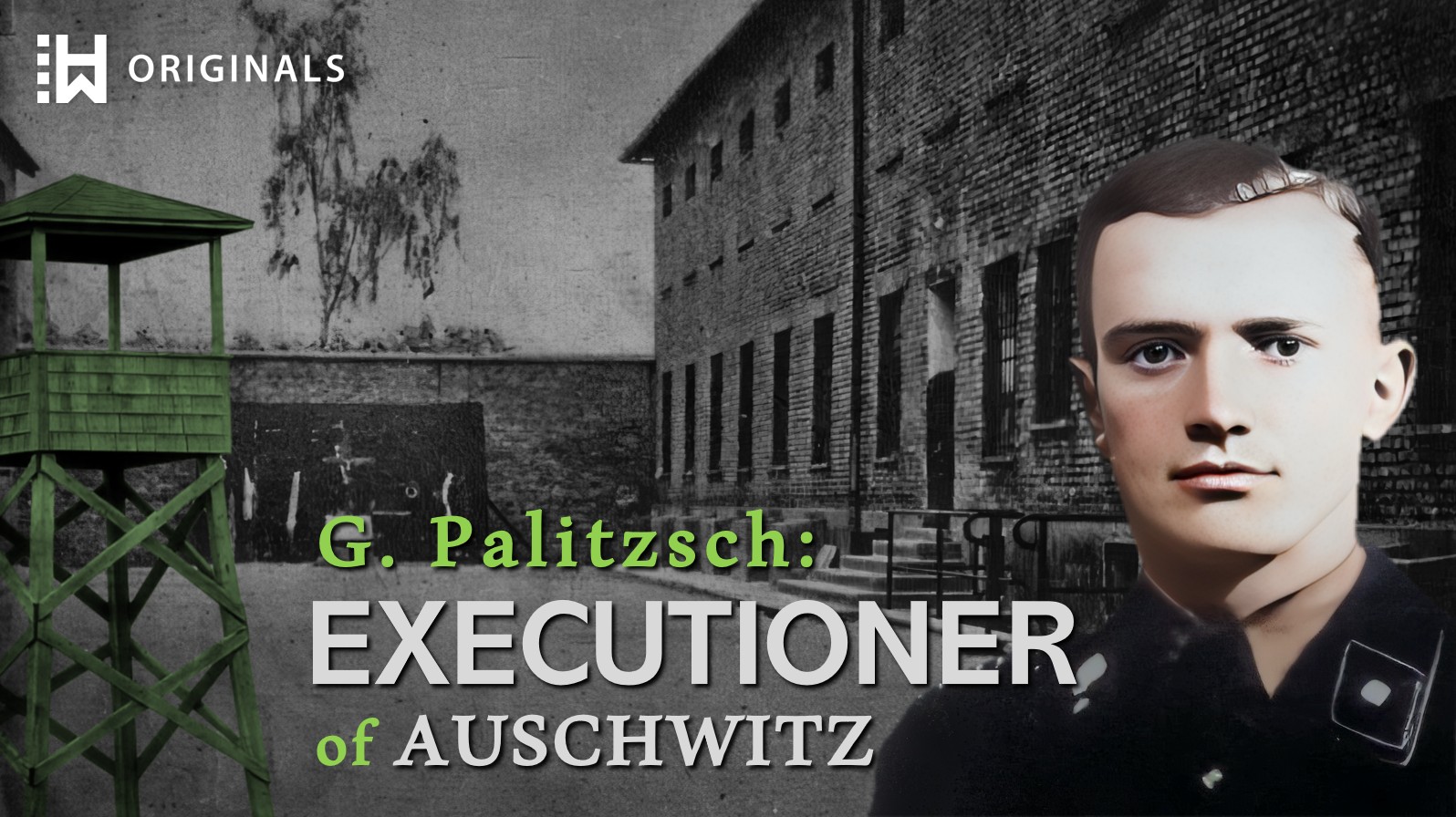 Auschwitz Executioner: Nazi Guard Gerhard Palitzsch and the Death Wall