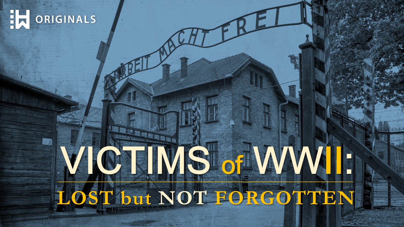 Victims of WWII: Lost but Not Forgotten