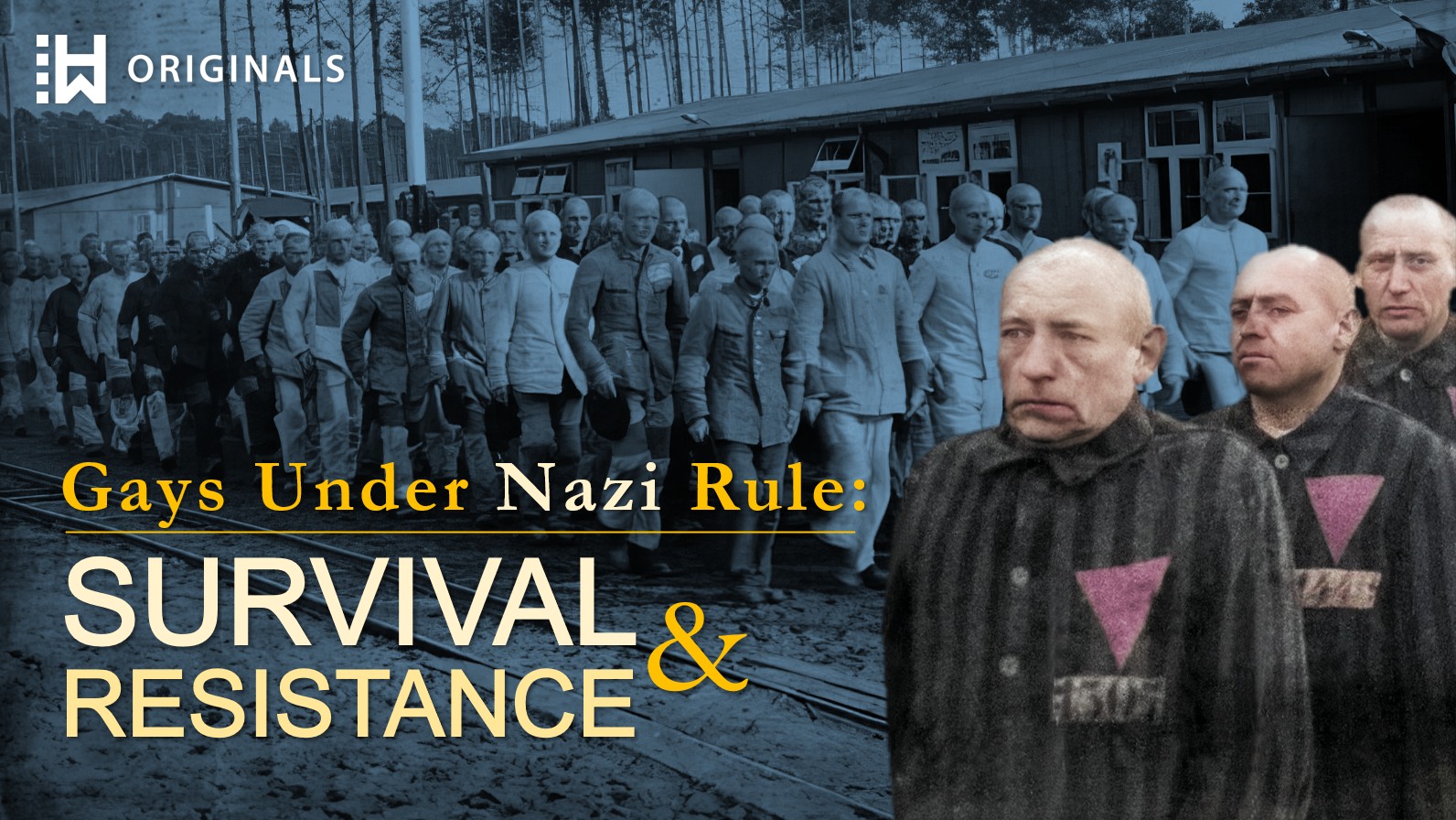 Nazi War on Homosexuals: Persecution of Gay Men Under Hitler 