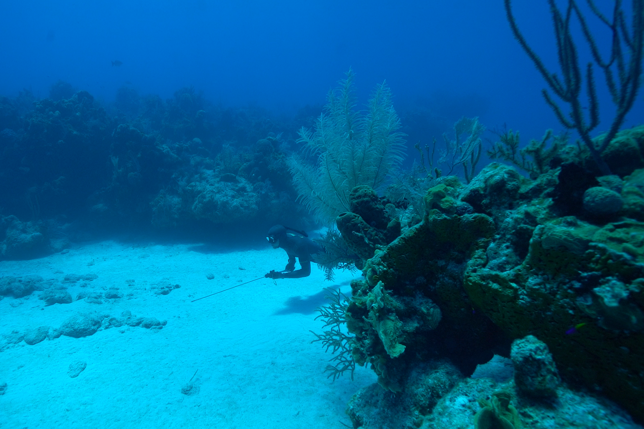 Season 14, Episode 4