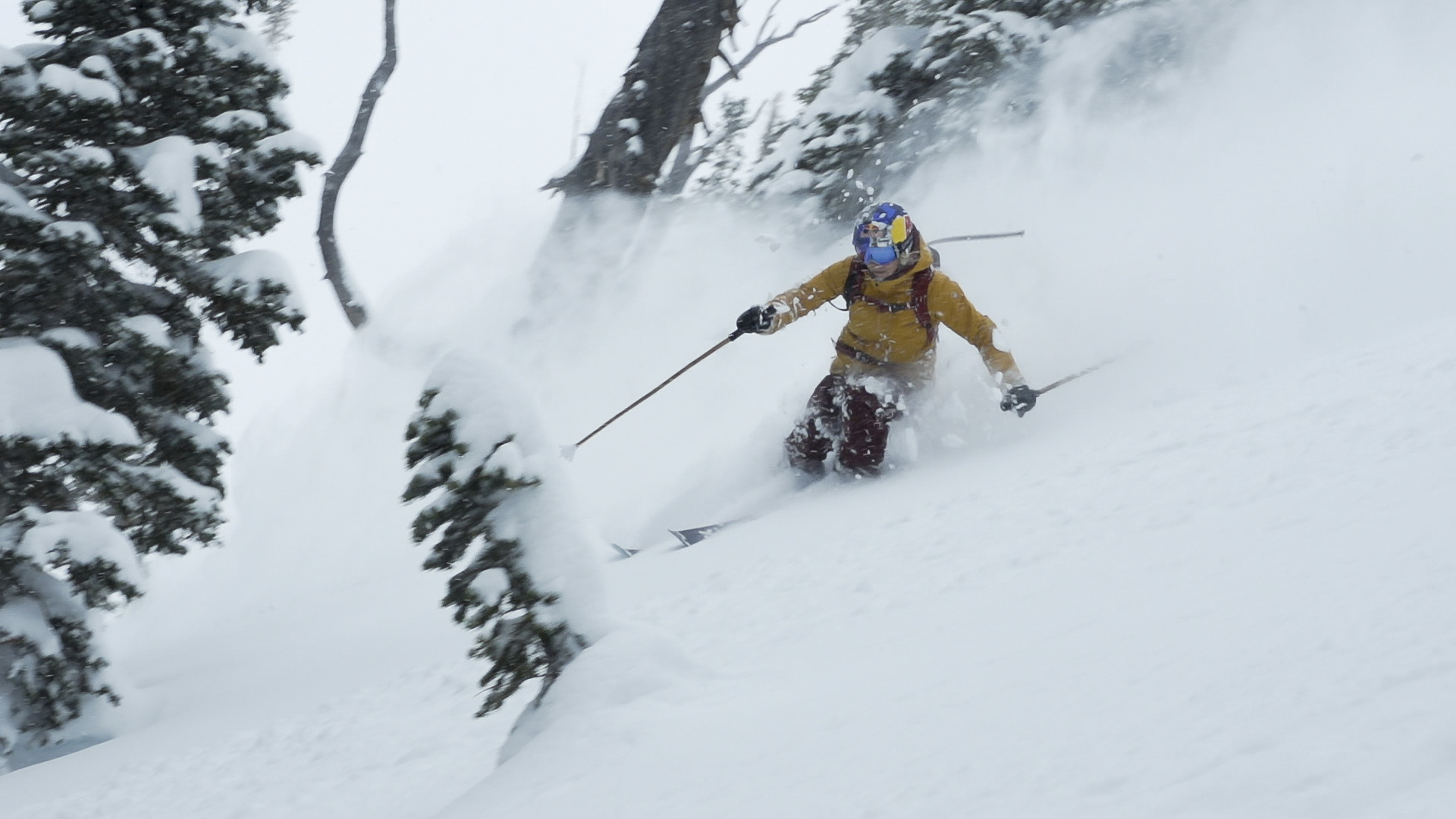 Season 14, Episode 1