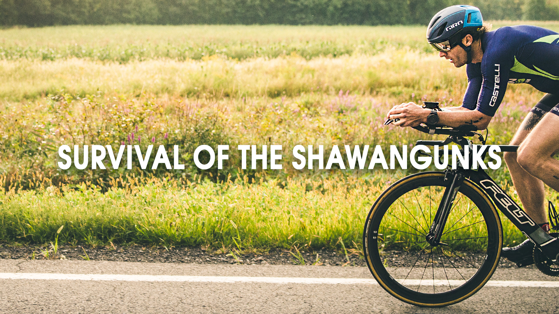 Survival of the Shawangunks