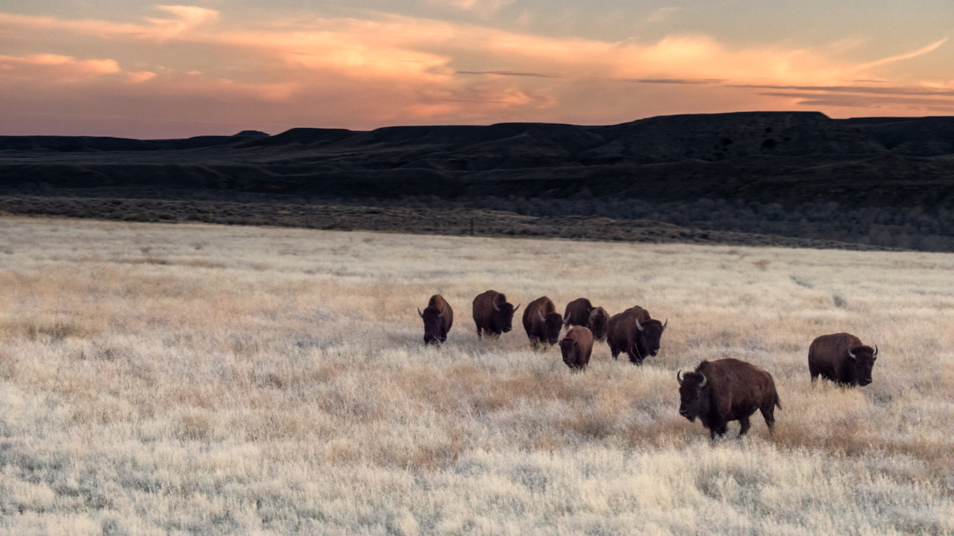 Season 14, Episode 6