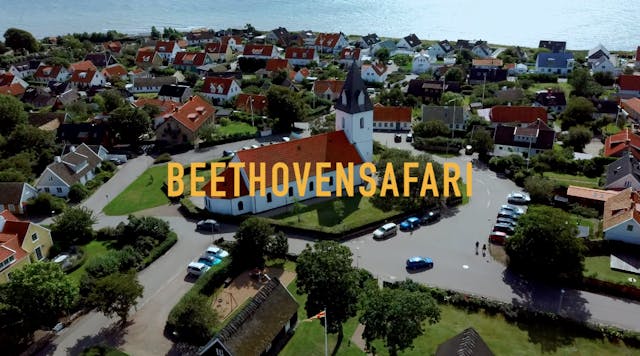 BeethovenSafari Documentary (in Swedish)