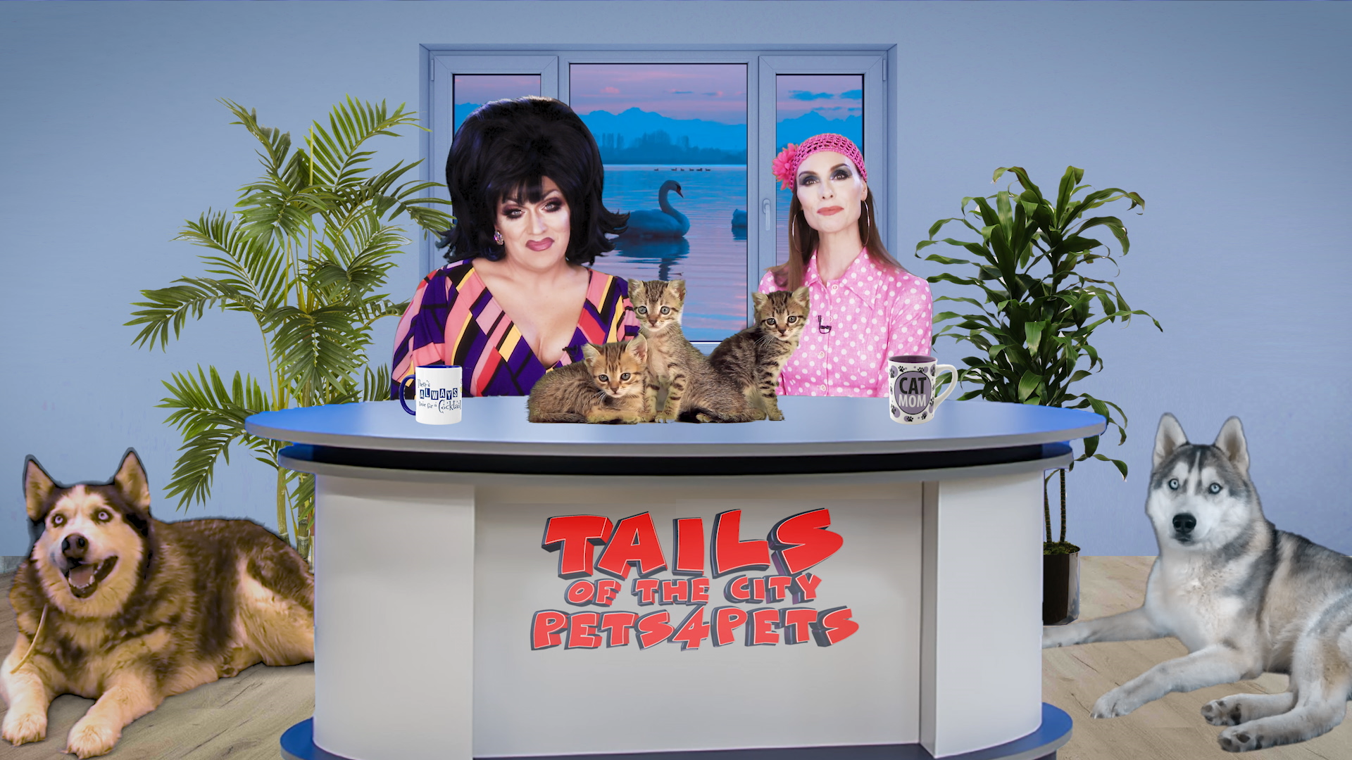 Tails of the City: Pets 4 Pets