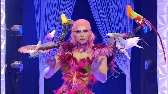 Drag Race Thailand Season 2 Trailer!