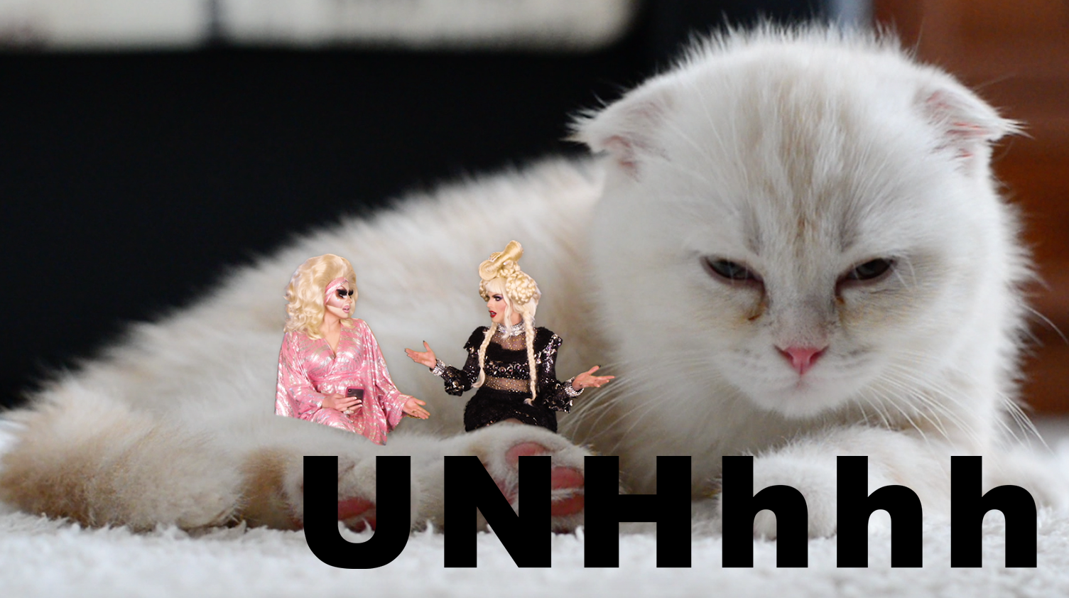 Astrology Part 1: Katya's Taurus Truth