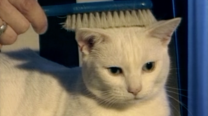 Season 1 | Episode 4