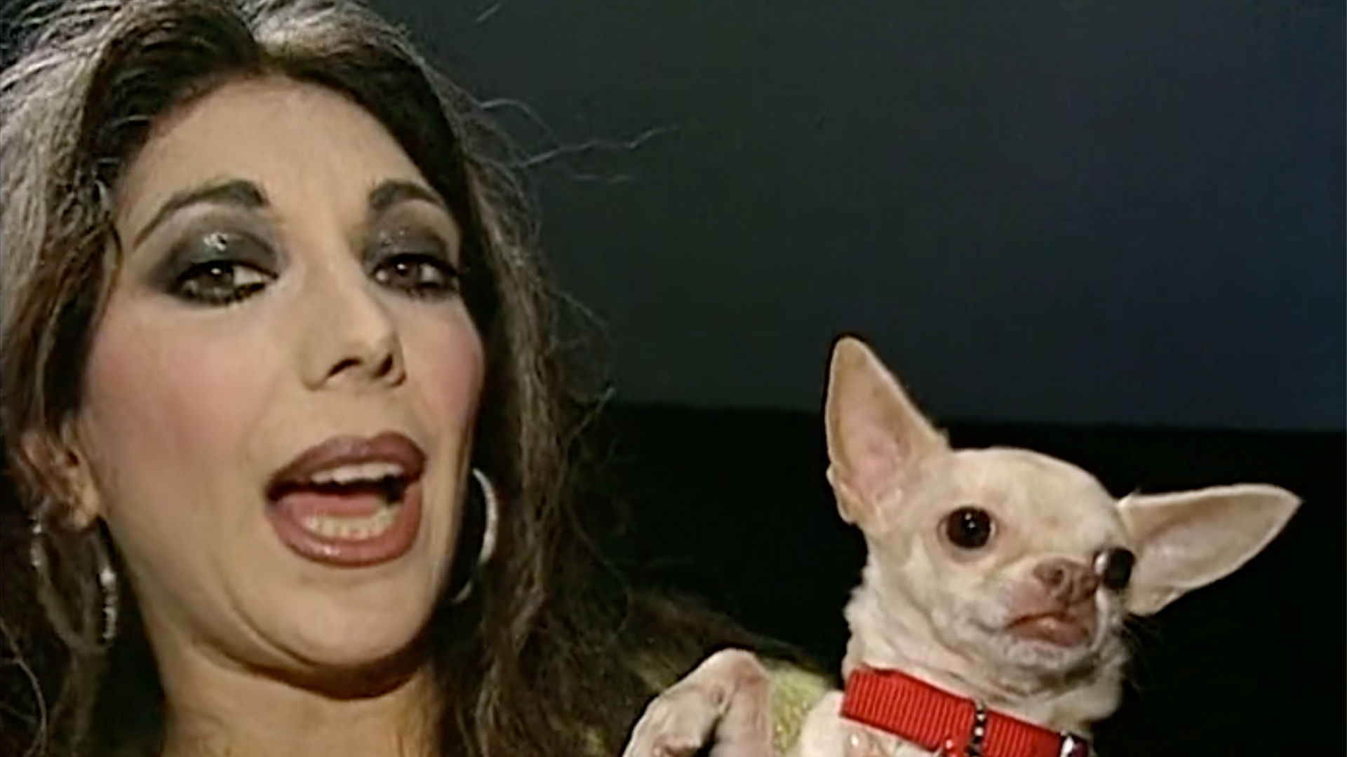 Jose Abboud, David Chu, Everett Hall, and More!