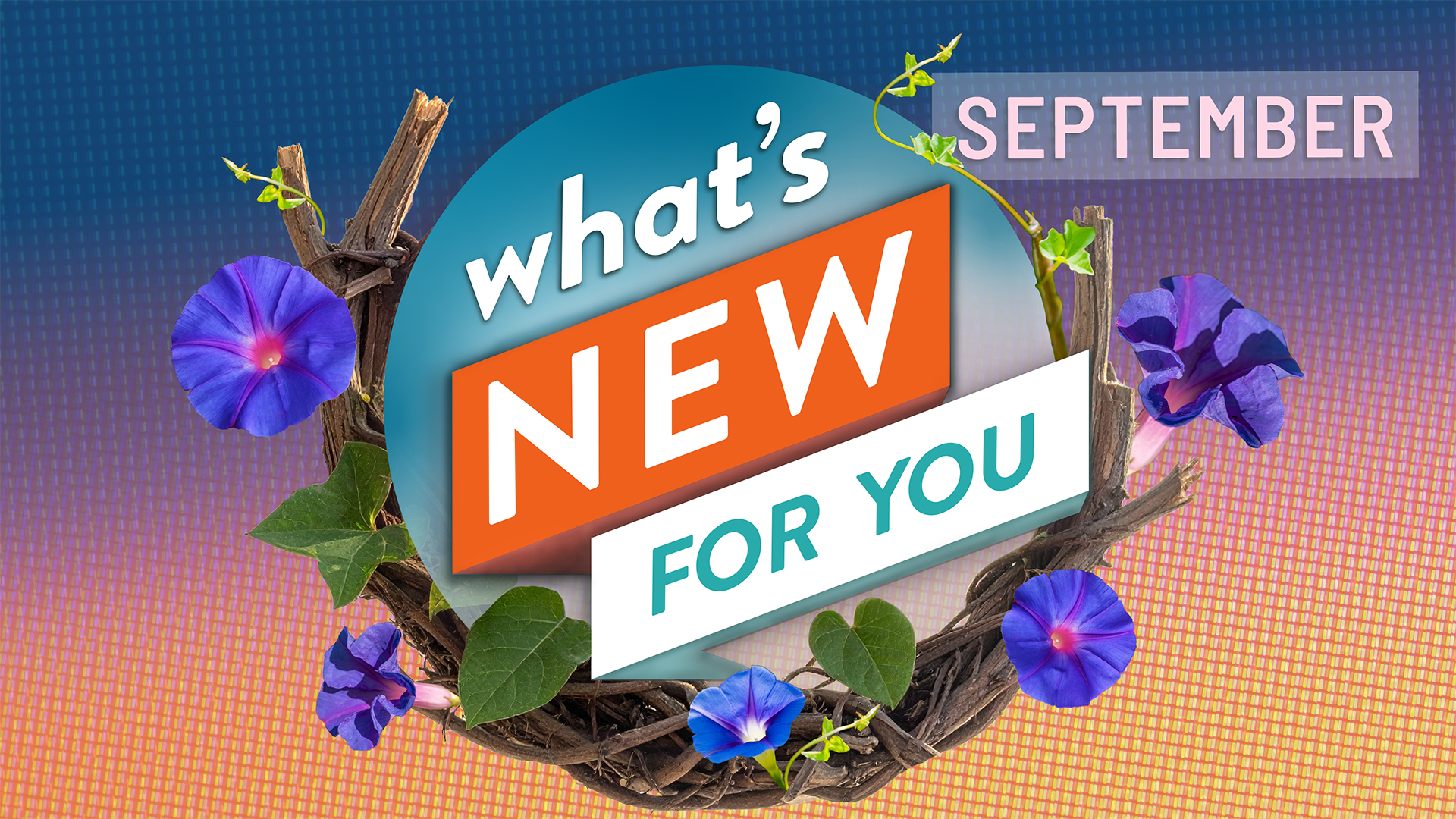 What's New for You | September