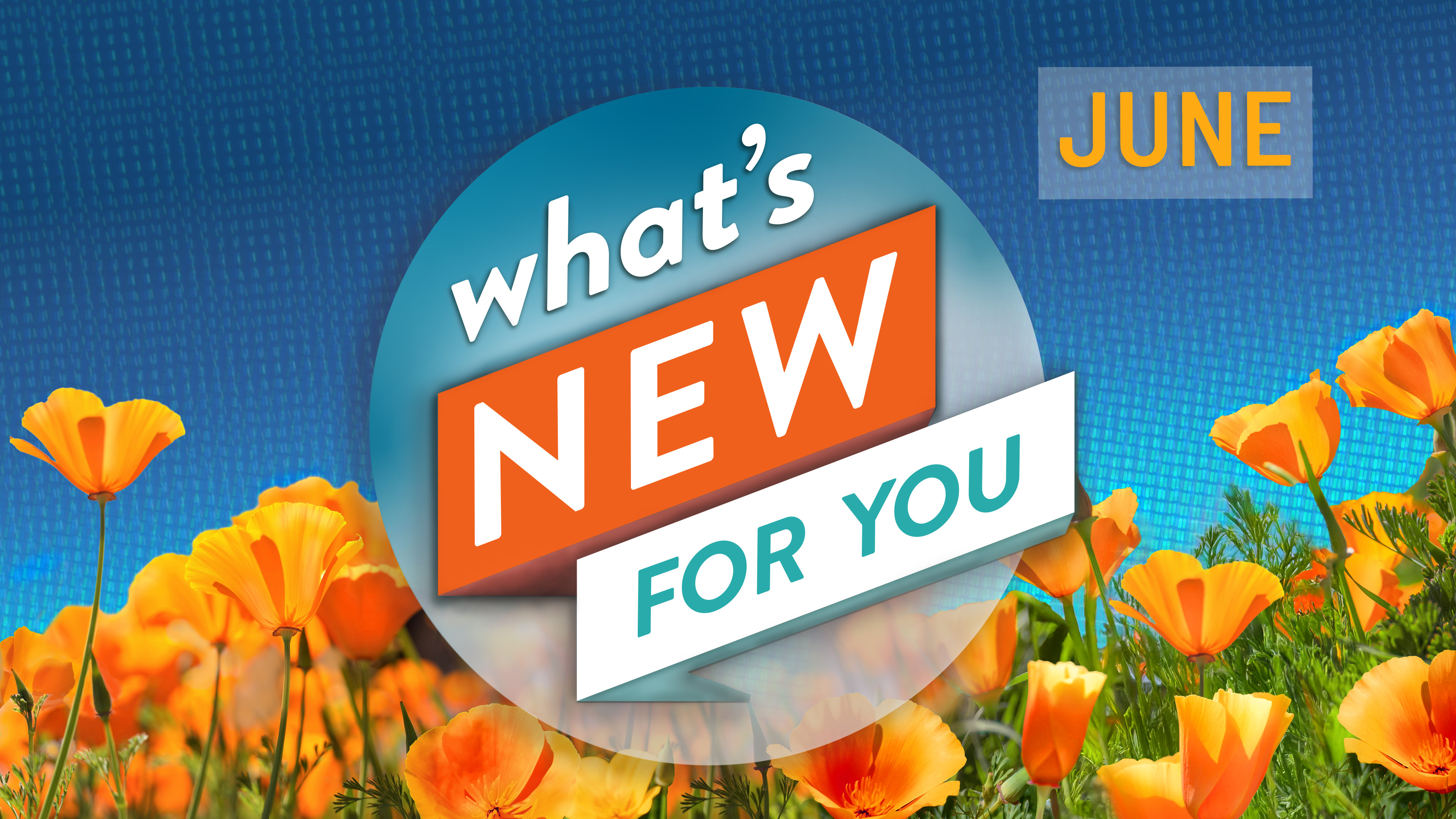 What's New for You | June