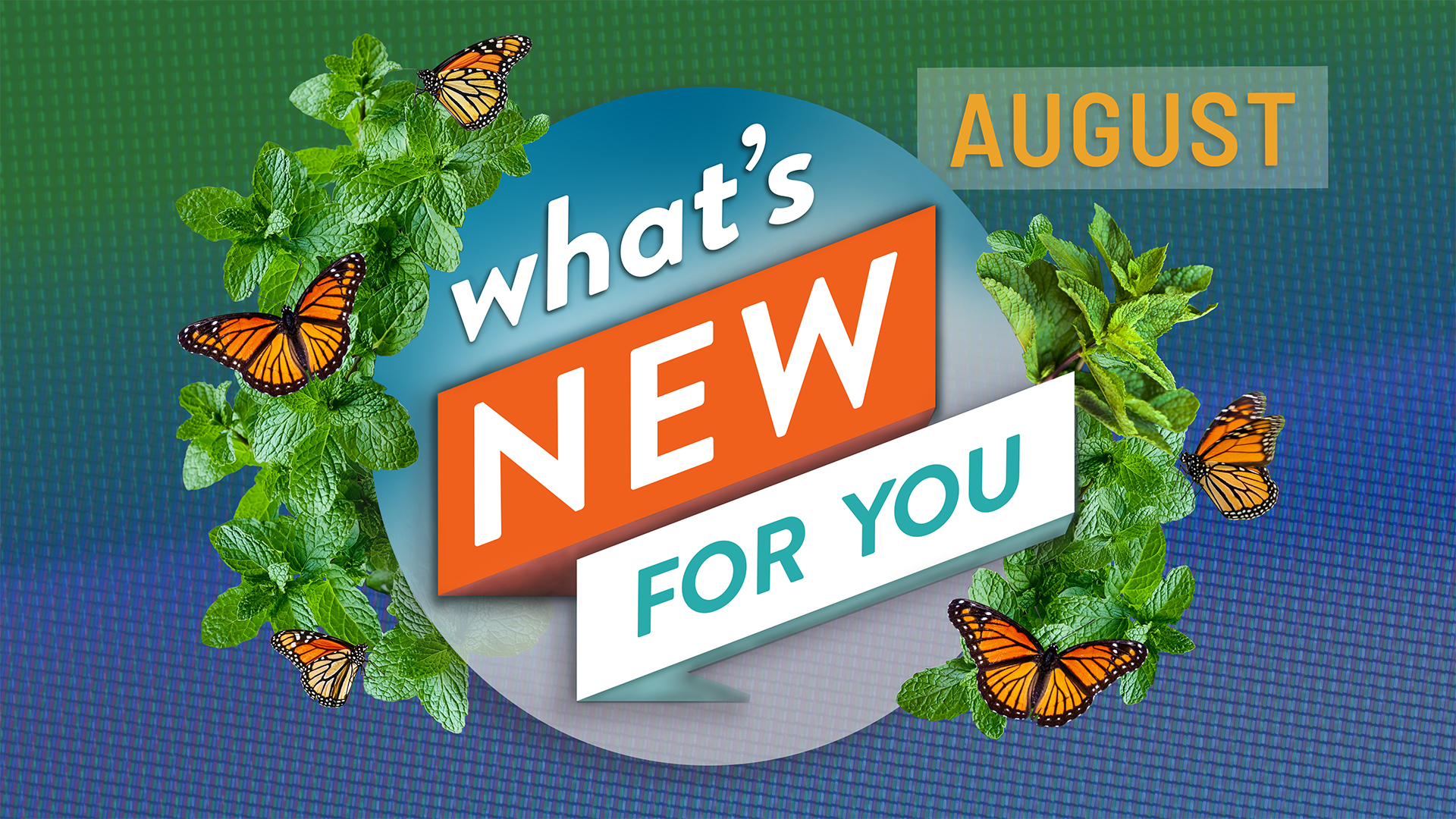 What's New for You | August