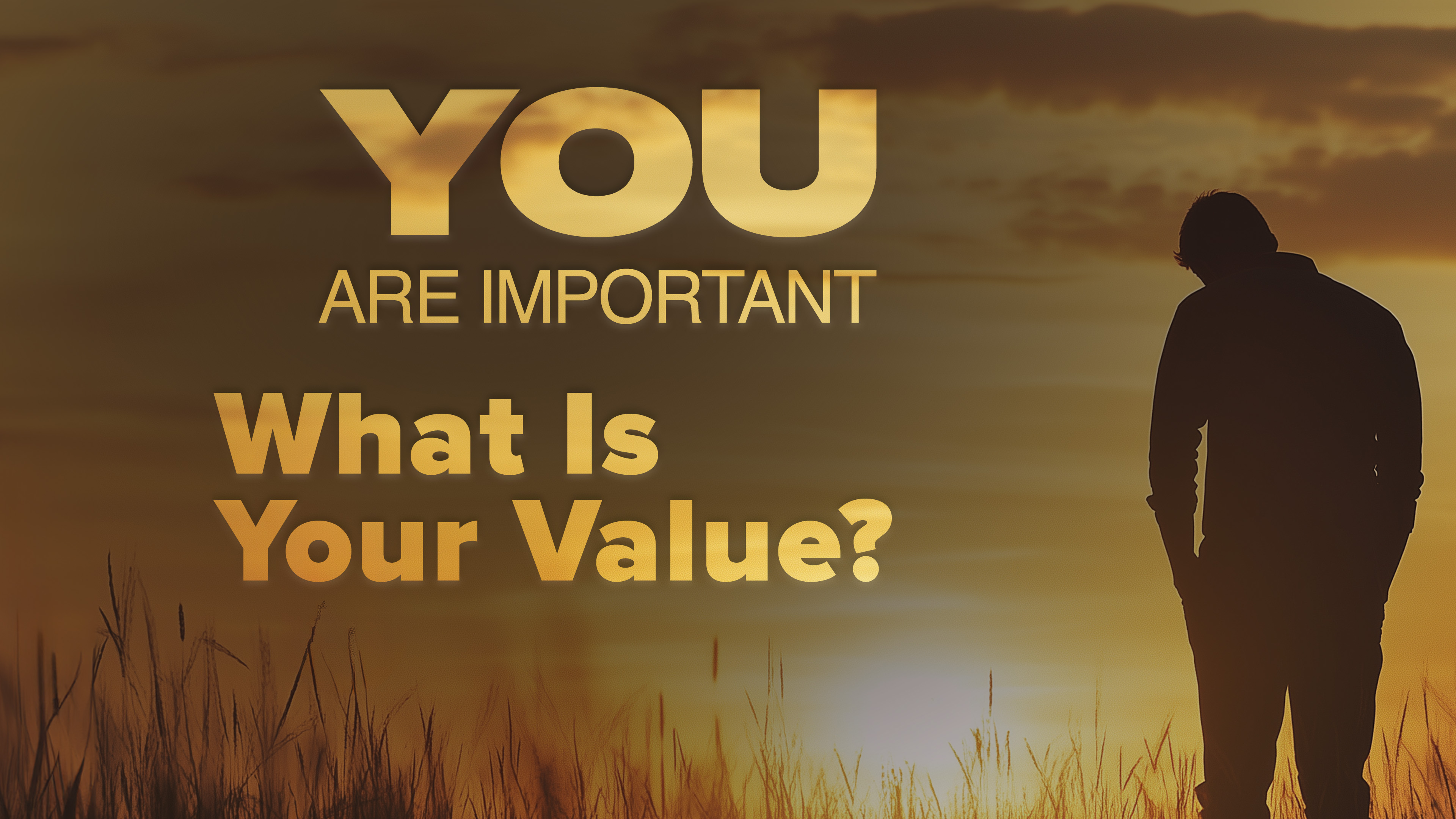 What Is Your Value?