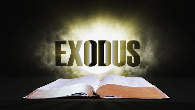 4. Exodus | Spotlight on the Word: Ol...