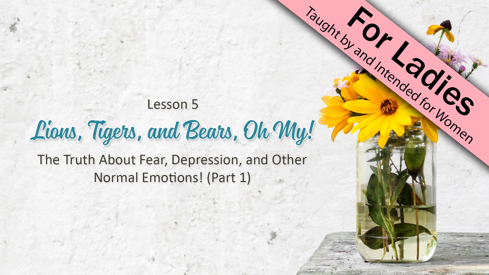 Side by Side - Lesson 5: Lions, Tigers, and Bears, Oh My! (Part 1)